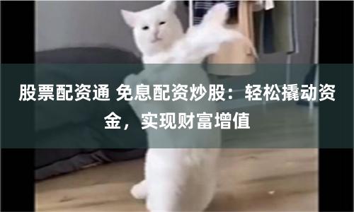 股票配资通 免息配资炒股：轻松撬动资金，实现财富增值