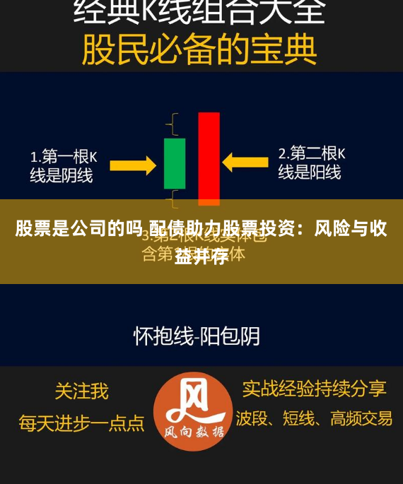 股票是公司的吗 配债助力股票投资：风险与收益并存
